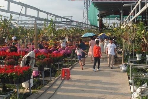 Du lịch Đồng Tháp phấn đấu thu hút 5 triệu lượt khách tham quan, trải nghiệm