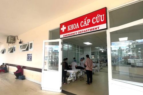 Bị chó nhà cắn, người đàn ông ở Ia Pa nhập viện nghi mắc bệnh dại