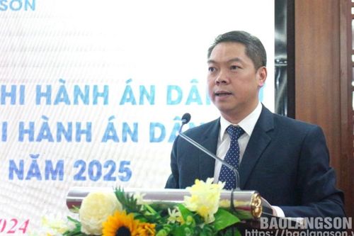 Tổng kết hoạt động Ban Chỉ đạo Thi hành án dân sự tỉnh năm 2024