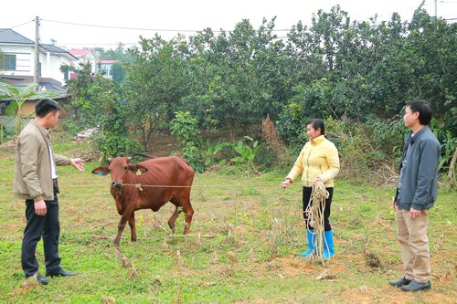 Kinh nghiệm giảm nghèo ở Hạ Giáp