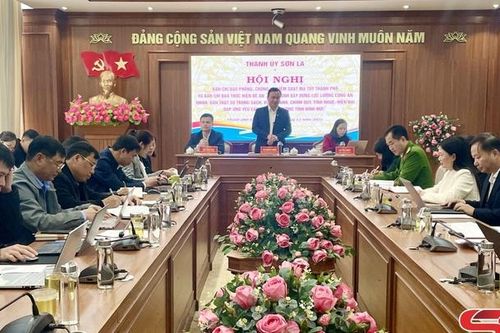 Hội nghị giao ban Ban Chỉ đạo 871 và Ban Chỉ đạo 1013 Thành phố