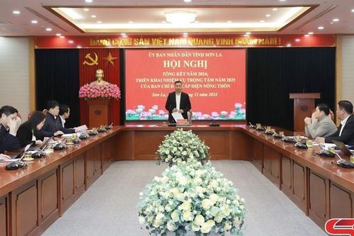 Ban Chỉ đạo cấp điện nông thôn triển khai nhiệm vụ năm 2025