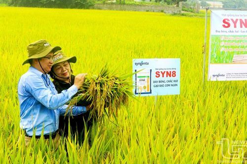 Đưa khoa học công nghệ vào sản xuất nông nghiệp