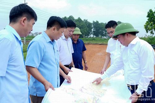 Khi vai trò của người đứng đầu được phát huy