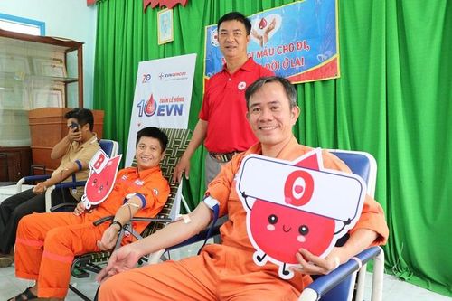 Công ty Nhiệt điện Vĩnh Tân: Hưởng ứng Tuần lễ hồng EVN