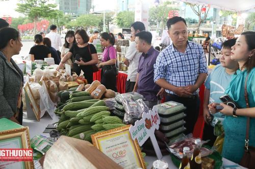 Quảng Nam có 479 sản phẩm OCOP