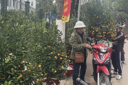Tổ chức đón Tết Nguyên đán Ất Tỵ năm 2025 đảm bảo vui tươi, lành mạnh, an toàn, tiết kiệm