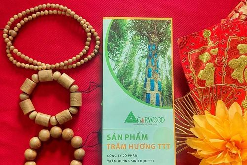 Vòng trầm hương sinh học - món quà Tết ý nghĩa