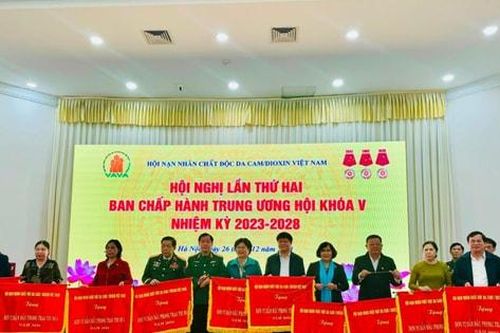Công bố 10 sự kiện và hoạt động nổi bật năm 2024 của Hội Nạn nhân chất độc da cam/dioxin Việt Nam