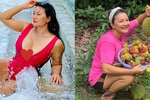 Một nữ diễn viên cay đắng, bị bệnh tâm thần vì yêu, U50 tìm an yên, chữa lành trong nhà vườn 6000m2