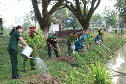 Tổ chức tốt phong trào 'Tết trồng cây đời đời nhớ ơn Bác Hồ' nhân dịp Xuân Ất Tỵ