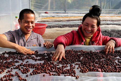 Đẩy mạnh sản xuất nông sản, thực phẩm phục vụ Tết