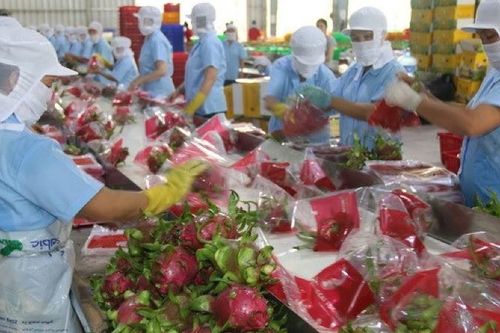 EU ban hành quy định mới về các biện pháp kiểm soát chất lượng nông sản nhập khẩu