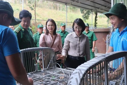 Lãnh đạo TPHCM thăm, chúc tết các cơ sở cai nghiện ma túy