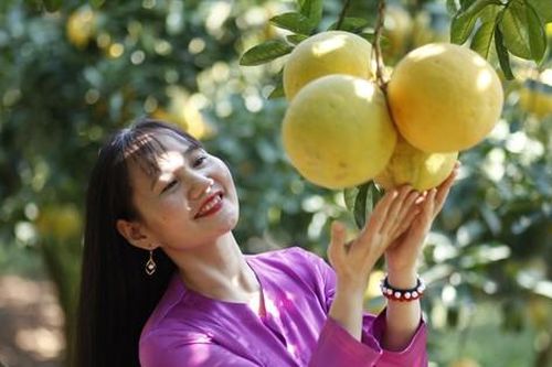 Thu tiền tỷ từ cam, bưởi dịp Tết