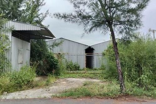 Xem xét kỷ luật chủ tịch huyện ở Bạc Liêu có dấu hiệu bao che, không xử lý vi phạm