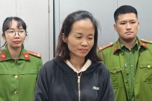 Buôn đất thua lỗ, người phụ nữ lừa gần 10 tỷ đồng để trả nợ