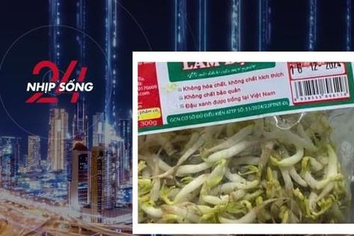 NHỊP SỐNG 24: 'Nước kẹo' trong gần 3000 tấn giá đỗ vừa bị phát hiện là gì?