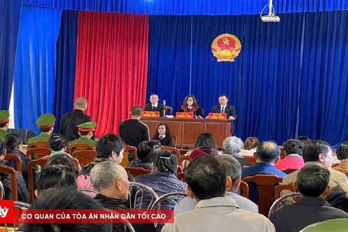 Lĩnh án vì tàng trữ và sử dụng ma túy