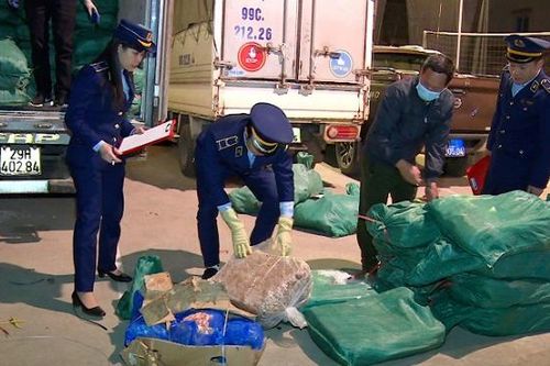 Thu giữ trên 2 tấn chân vịt, lòng bò bẩn