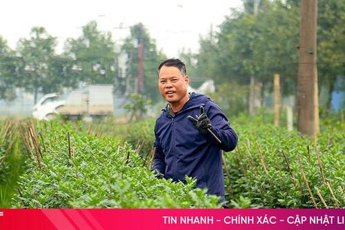 Tích cực chăm sóc rau màu, hoa cây cảnh phục vụ thị trường Tết