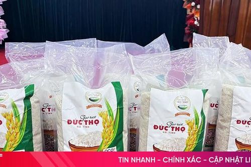 Nâng tầm hạt gạo trên đồng ruộng Đức Thọ