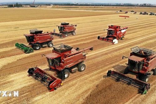 Trung Quốc thu mua kỷ lục 420 triệu tấn ngũ cốc trong năm 2024