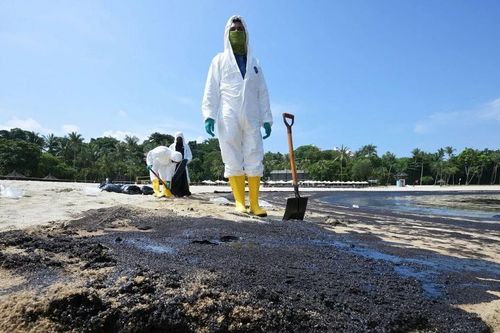 Peru ban bố tình trạng khẩn cấp về môi trường do tràn dầu