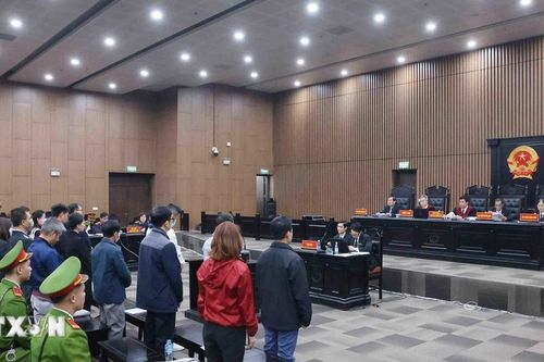 Chuyến bay giải cứu: Cựu Phó Giám đốc Sở Ngoại vụ Thái Nguyên bị phạt 12 năm tù