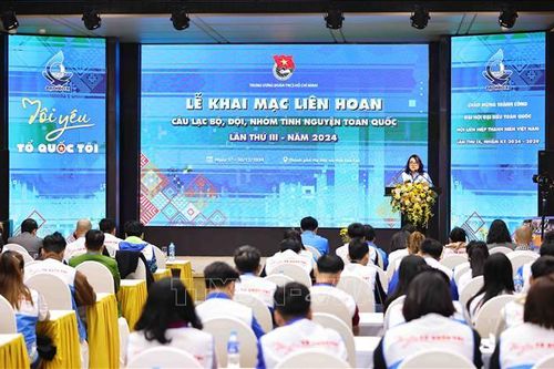 Khai mạc Liên hoan câu lạc bộ, đội, nhóm tình nguyện toàn quốc
