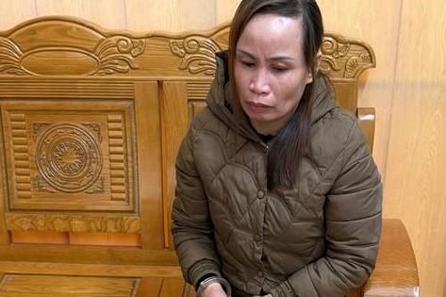 Tạm giữ người phụ nữ lẻn vào trường học trộm cắp tài sản