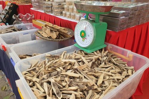 Bất ngờ gỗ vụn được bán với giá hàng chục triệu đồng/kg, khách vẫn tới tấp mua