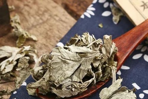 Tại sao nhiều người treo túi lá ngải cứu ở đầu giường? Sự thật khiến bạn bất ngờ