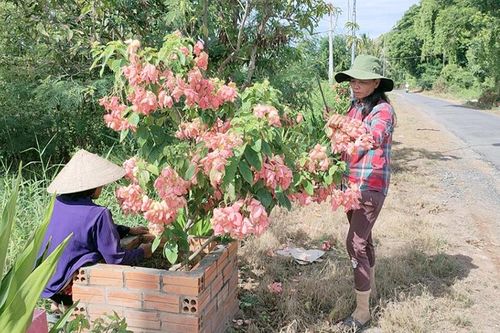 Cụ thể hóa các nhiệm vụ trọng tâm sát với điều kiện thực tế đơn vị, địa phương