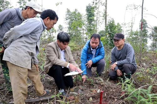 Dự án đường dây 500 KV Lào Cai - Vĩnh Yên: Triển khai thần tốc ở Bảo Thắng