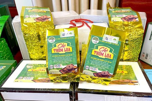 Công nhận 21 sản phẩm, bộ sản phẩm công nghiệp nông thôn tiêu biểu tỉnh năm 2024