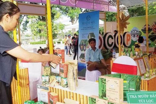 Đa dạng dịch vụ, lợi ích nhân đôi