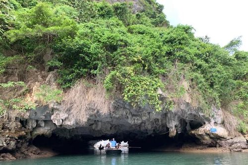 Hải Phòng: Gìn giữ và bảo vệ tài nguyên tự nhiên để phát triển theo hướng bền vững