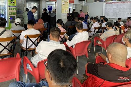 Nộp hồ sơ đổi Giấy phép lái xe trực tiếp tại TP Hồ Chí Minh cao gấp nhiều lần trực tuyến