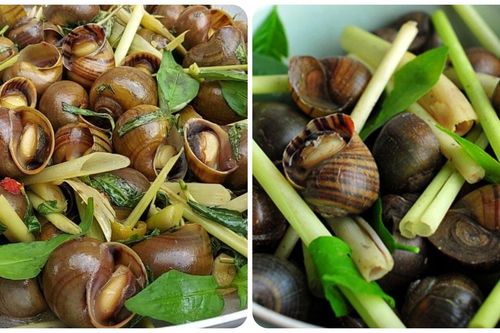 Những người nào nên hạn chế ăn ốc luộc?