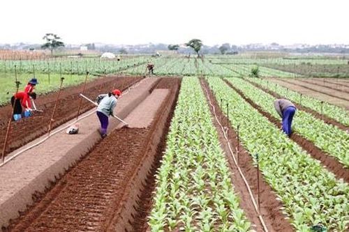 Tin tức đặc biệt trên báo in Hànôịmới ngày 27-12-2024