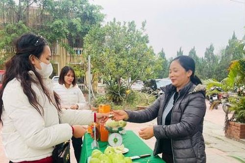 Kết nối tiêu thụ nông sản an toàn cho huyện Ứng Hòa