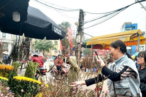 Xuân sớm về trên phố