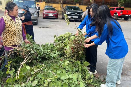 Cán bộ, Nhân dân phường Quảng An chung tay làm sạch môi trường