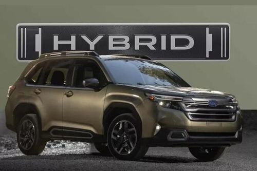 Subaru Forester Hybrid 'rục rịch' ra mắt, không dưới 790 triệu đồng