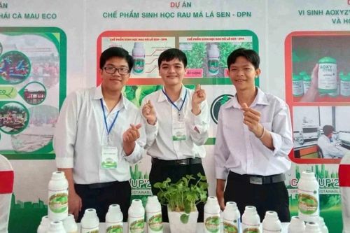 Học sinh chế thuốc trừ sâu từ thực vật