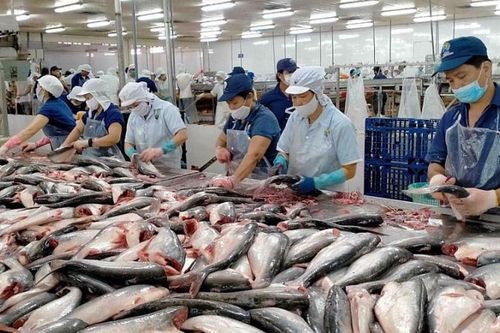 Ngành thủy sản Việt Nam đang ở vị thế nào sau 3 năm khi ký kết UKVFTA?