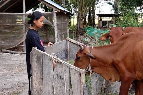 Tây Ninh: Đồng bào DTTS hưởng lợi từ xây dựng nông thôn mới