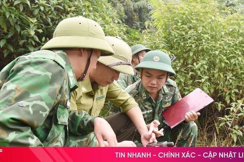 Đồng bộ, hiệu quả các giải pháp kéo giảm vi phạm lâm luật