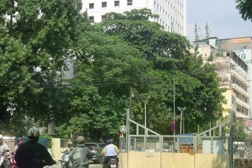 Hà Nội: Phân luồng trên phố Quốc Tử Giám trong quá trình gia cố nền ga S11